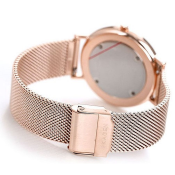 Skagen Signatur Slim