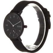 Skagen Aaren