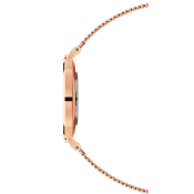 Daniel Wellington Petite Melrose 36