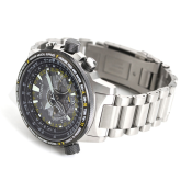 Citizen Satellite Wave