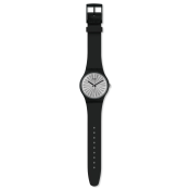 Swatch Silver Shield
