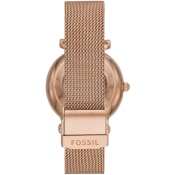 Fossil Carlie