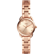 Fossil The Minimalist