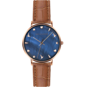 Emily Westwood Seashell