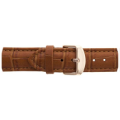 Emily Westwood Seashell