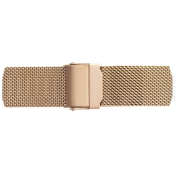 Emily Westwood Dragonfly