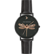 Emily Westwood Dragonfly