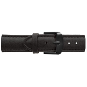 Emily Westwood Dragonfly