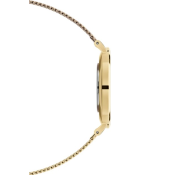 Daniel Wellington Petite Evergold 36