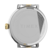 Timex Standard Demi