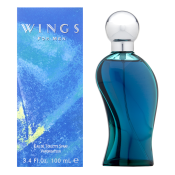 Giorgio Beverly Hills Wings for Men toaletná voda pre mužov 100 ml