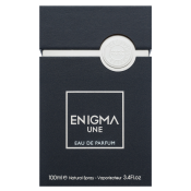 French Avenue Enigma Une parfémovaná voda pro muže 100 ml
