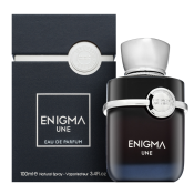 French Avenue Enigma Une parfémovaná voda pro muže 100 ml