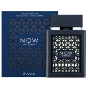 Rave Now Intense parfémovaná voda pro muže 100 ml
