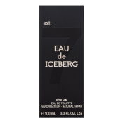 Iceberg Eau de Iceberg 74 Pour Homme woda toaletowa dla mężczyzn 100 ml