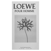 Loewe Pour Homme Eau de Toilette da uomo 150 ml