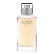 Davidoff Horizon toaletná voda pre mužov 75 ml