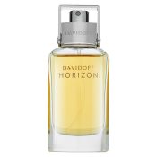 Davidoff Horizon toaletná voda pre mužov 40 ml