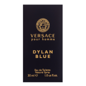 Versace Dylan Blue toaletná voda pre mužov 30 ml