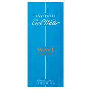 Davidoff Cool Water Wave toaletní voda pro muže 125 ml