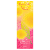 Elizabeth Arden Green Tea Mimosa Eau de Toilette nőknek 100 ml