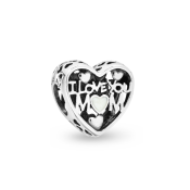 Charm Pandora Moments