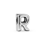 Charm Pandora Moments