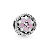 Charm Pandora Moments