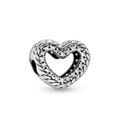 Charm Pandora Moments