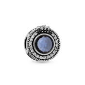 Charm Pandora Signature