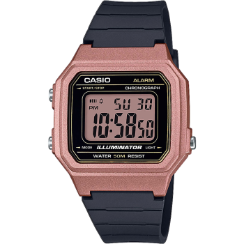 Casio Collection