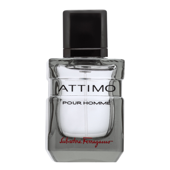 Salvatore Ferragamo Attimo Pour Homme toaletná voda pre mužov 40 ml