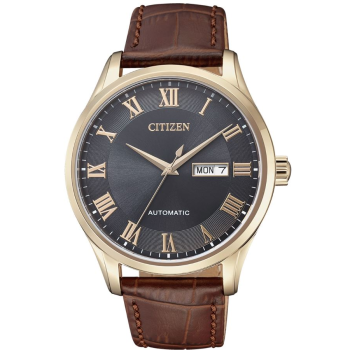 Citizen Automatic