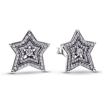 Náušnice Pandora Moments