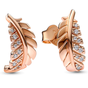 Náušnice Pandora Moments