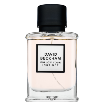 David Beckham Follow Your Instinct parfémovaná voda pro muže 50 ml