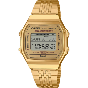 Casio Vintage