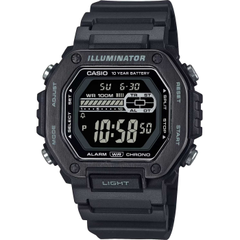 Casio Classic