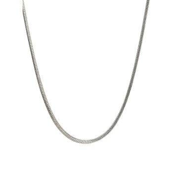 Catena d'argento, design delicato