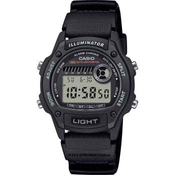 Casio Timeless