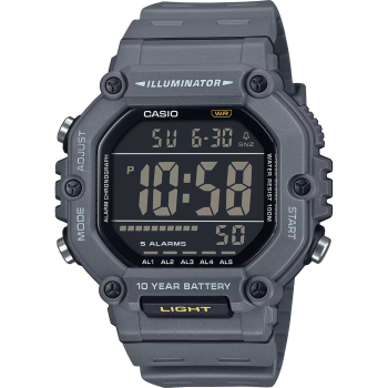 Casio Timeless