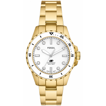 Fossil Dive