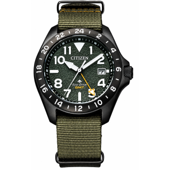 Citizen Promaster