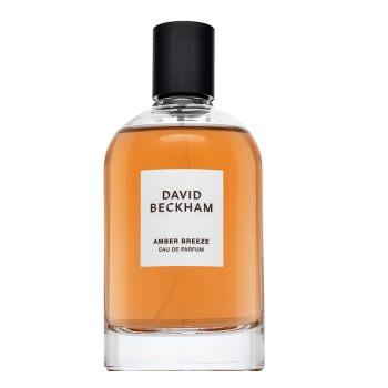 David Beckham Amber Breeze woda toaletowa dla mężczyzn 100 ml