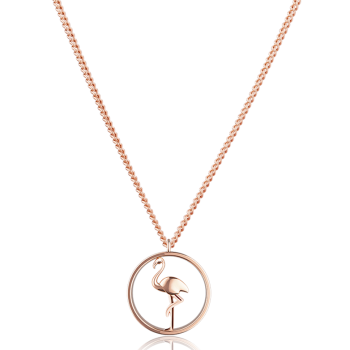 Paul Hewitt Tropicool