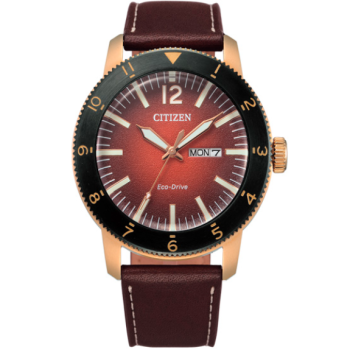 Citizen Eco-Drive