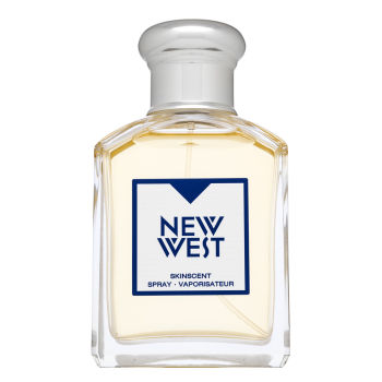 Aramis New West Eau de Toilette da uomo 100 ml