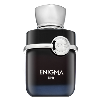 French Avenue Enigma Une parfémovaná voda pro muže 100 ml