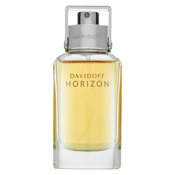 Davidoff Horizon toaletná voda pre mužov 40 ml