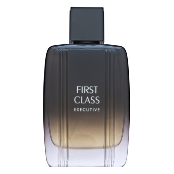 Voda Class Aigner First Class Executive toaletna voda za muškarce 100 ml ...